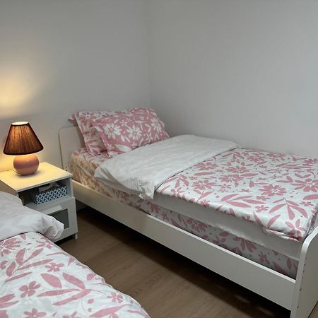Cozy, Brand-New, 2Bdr,Walkout Apt, Free Parking ริชมอนด์ฮิลล์ ภายนอก รูปภาพ